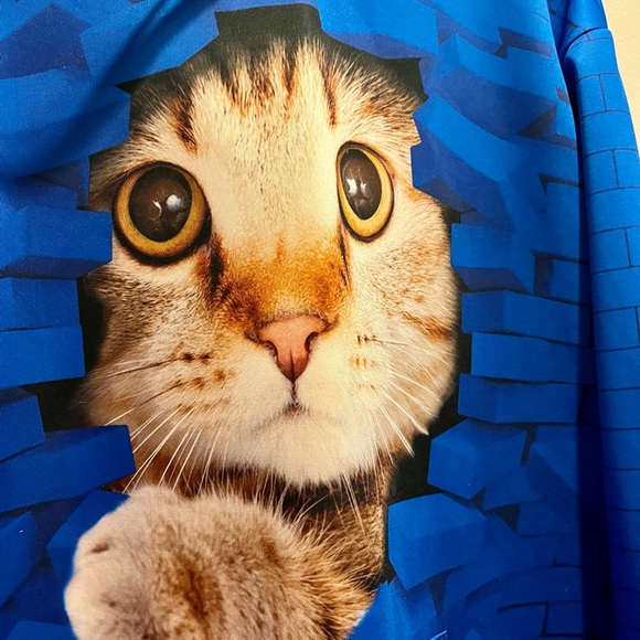 Cat themed sweatshirt with hoodie. Unisex - Picture 4 of 16